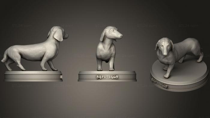 Статуэтки животных (Реалистичная Такса, STKJ_1401) 3D модель для ЧПУ станка